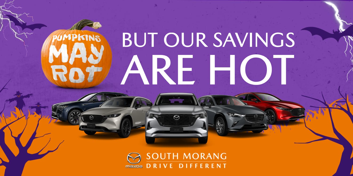 May Rot Savings Hot